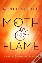 Moth & The Flame
