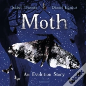 Capa do artigo Moth