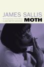 Moth - Preview