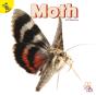 Moth - Preview
