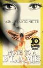 Moth To A Flame - Preview