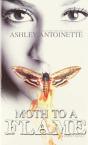 Moth To A Flame - Preview