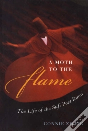 Capa do artigo Moth To The Flame