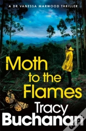 Capa do artigo Moth To The Flames