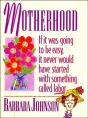 Motherhood Mini Book - Preview
