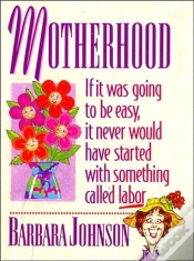 Capa do artigo Motherhood Mini Book