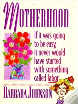 Capa do artigo Motherhood Mini Book
