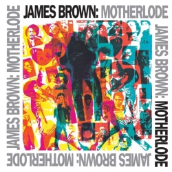 Capa do artigo Motherlode - Vinil