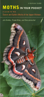 Moths In Your Pocket - Preview