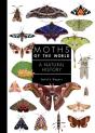 Moths Of The World - Preview