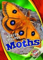 Moths
