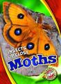 Moths - Preview