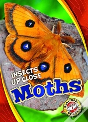 Capa do artigo Moths