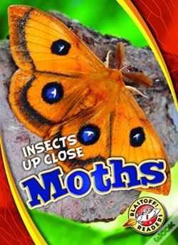 Capa do artigo Moths