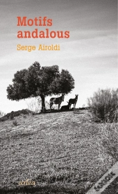 Motifs Andalous