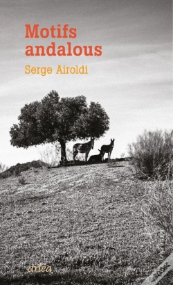 Capa do artigo Motifs Andalous