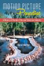 Motion Picture Paradise - Preview