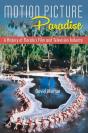 Motion Picture Paradise - Preview