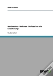 Capa do artigo Motivation - Welchen Einfluss Hat Die Entlohnung?