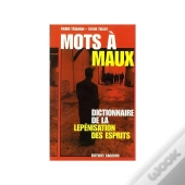 Mots À Maux ; Dictionnaire De La Lepénisation Des Esprits