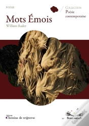 Capa do artigo Mots Emois