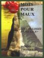 Mots Pour Maux ; Les Coulisses D'Une S.E.P - Preview