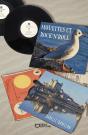 Mouettes Et Rock'N'Roll - Preview