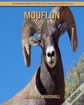 Mouflon