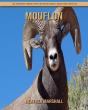 Mouflon - Preview