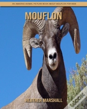 Capa do artigo Mouflon