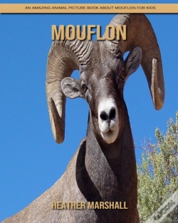 Capa do artigo Mouflon