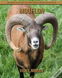 Capa do artigo Mouflon