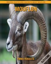 Mouflon