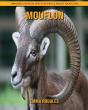 Mouflon - Preview