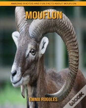 Capa do artigo Mouflon