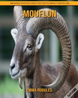 Capa do artigo Mouflon