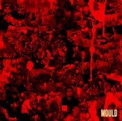 Capa do artigo MOULD - Vinil