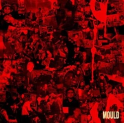 Capa do artigo Mould - Vinil
