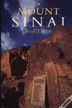 Capa do artigo Mount Sinai