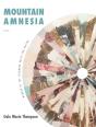 Mountain Amnesia - Preview