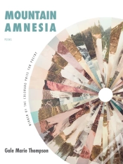 Capa do artigo Mountain Amnesia