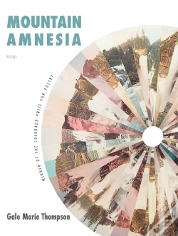 Capa do artigo Mountain Amnesia