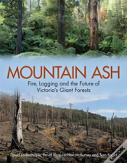 Capa do artigo Mountain Ash