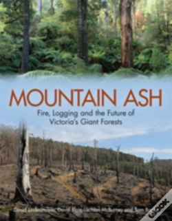 Capa do artigo Mountain Ash