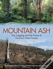 Mountain Ash