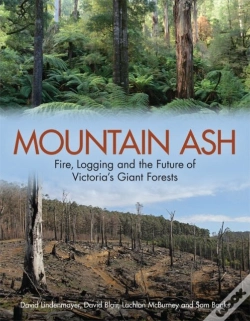 Capa do artigo Mountain Ash
