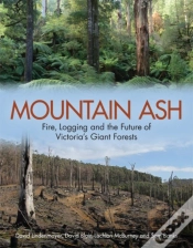 Capa do artigo Mountain Ash
