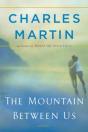 Mountain Between Us - Preview