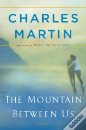 Capa do artigo Mountain Between Us