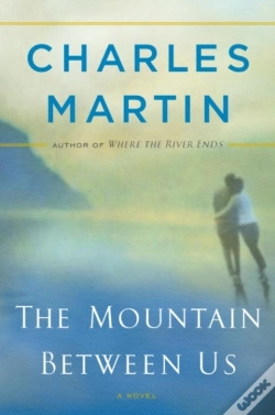 Capa do artigo Mountain Between Us